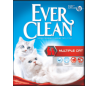 EVER CLEAN MULTIPLE CAT