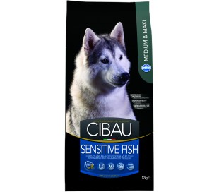  סיבאו אוכל לכלבים בוגר גזע גדול CIBAU Adult MAXI 12 Kg